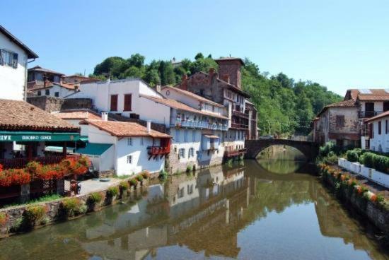Parc Arradoy Apartment Saint-Jean-Pied-de-Port Bagian luar foto